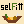 Offizielles selFitt Logo als Wort-Bild-Marke